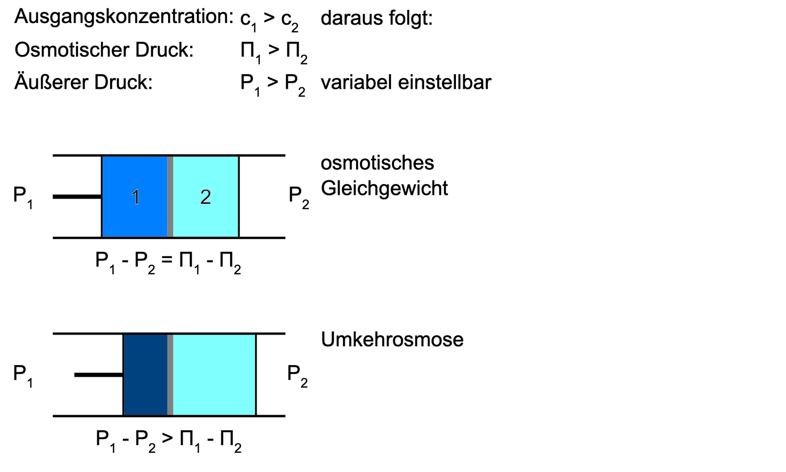 Osmose-Membran