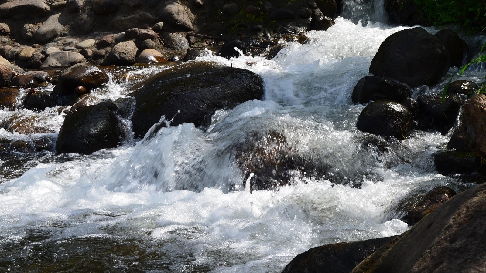 Belebtes Wasser